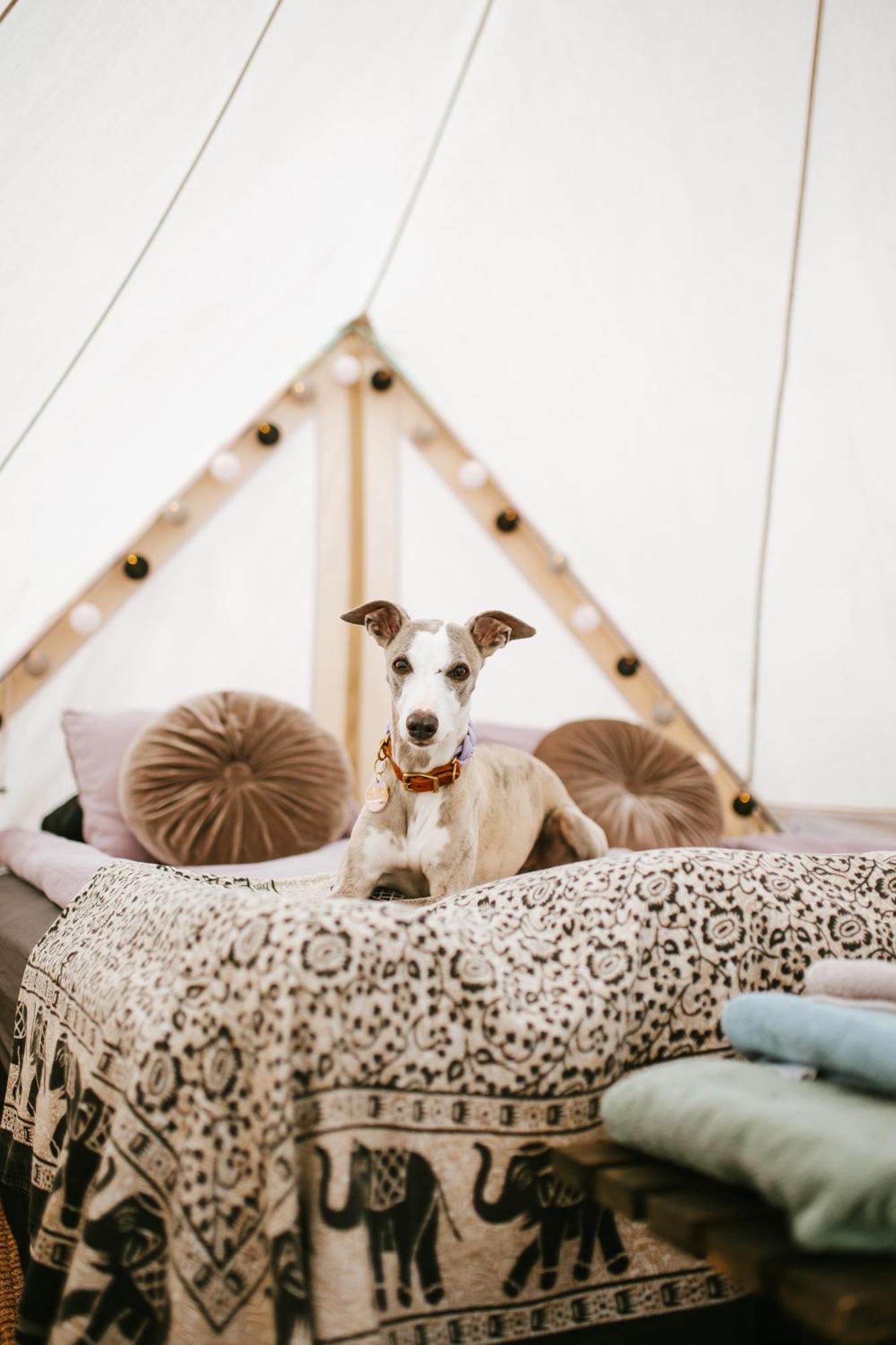 Отель Vaettervy Glamping Хабо Экстерьер фото